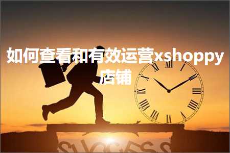 网站分享推广 跨境电商知识:如何查看和有效运营xshoppy店铺